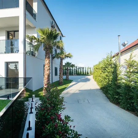 Cosmo * Durres